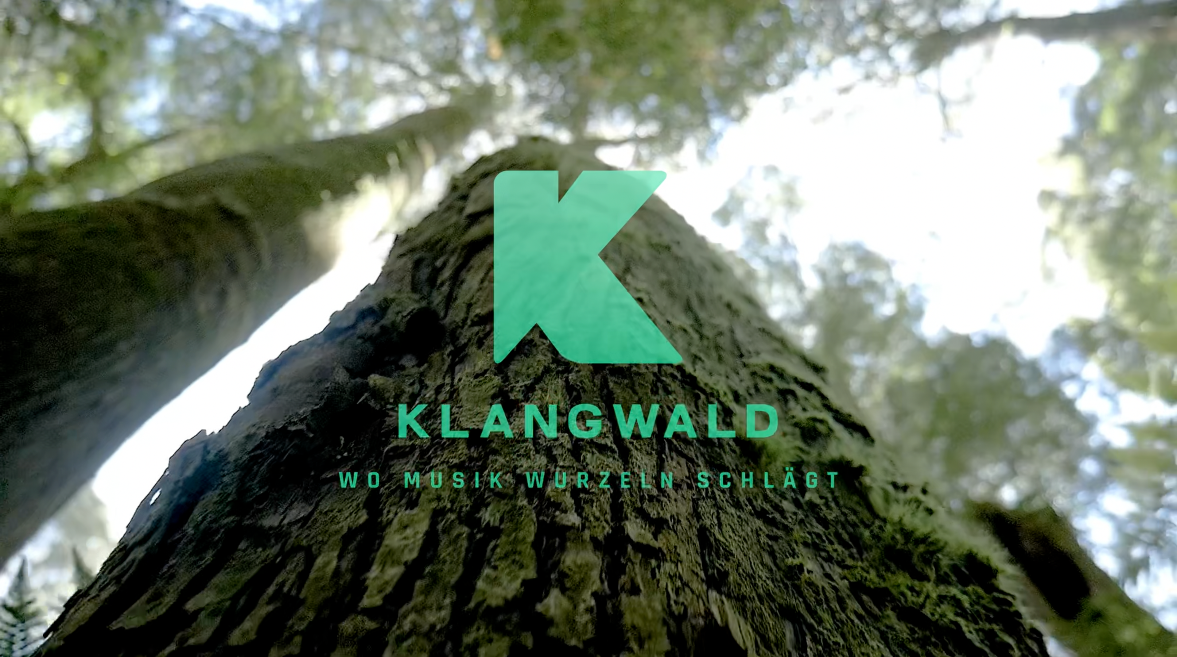 Klang Wald - Pedalboards aus hochwertigem Massivholz